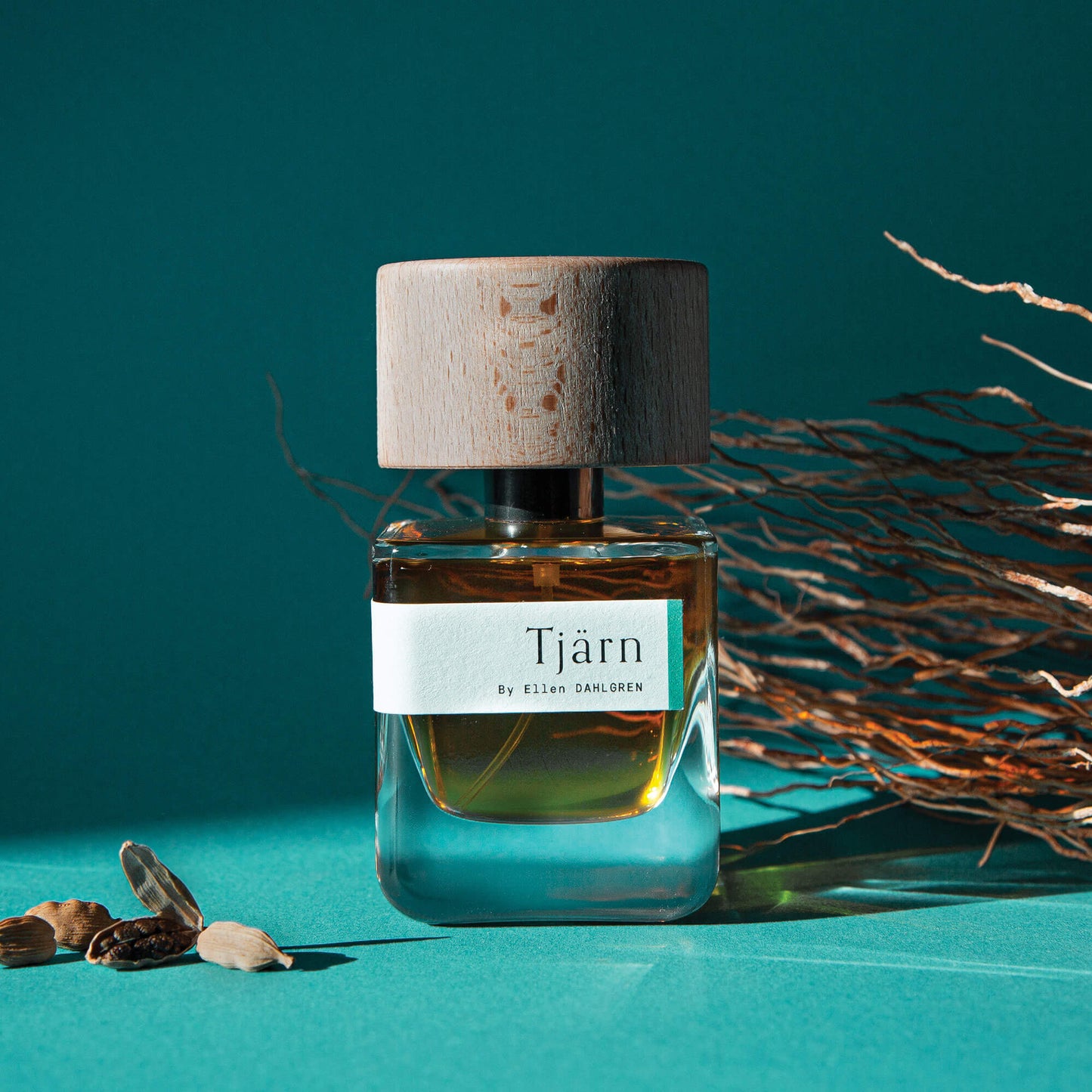 Tjärn