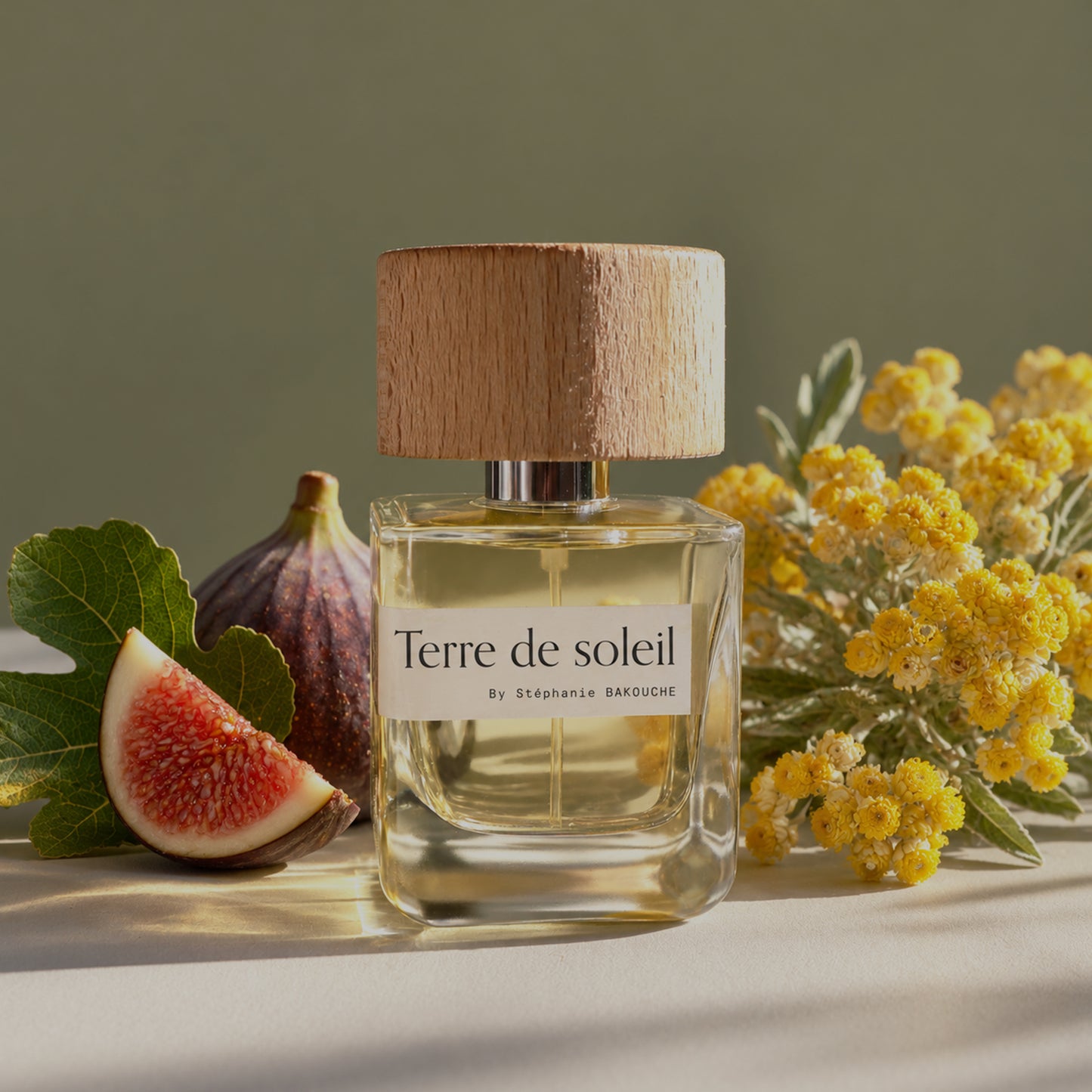 Terre de soleil